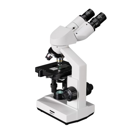 Microscope Bresser Erudit Basic Bino 40x-400x (23)