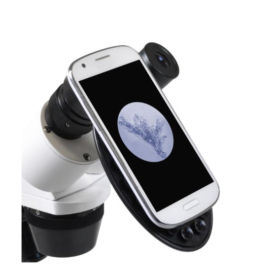 Microscope ICD Erudit (30,5)