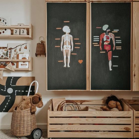 Magnets Le Corps Humain FR