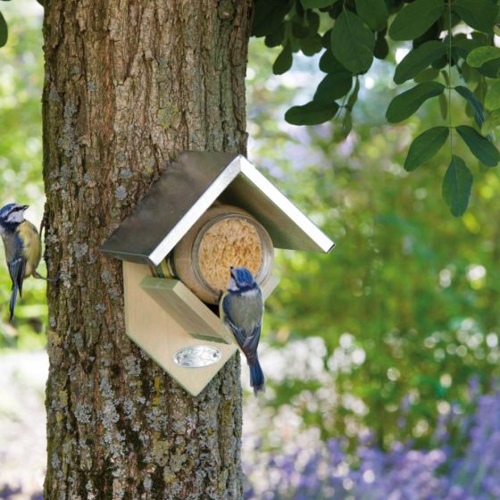 Maison pour beurre de cacahuète pour oiseaux