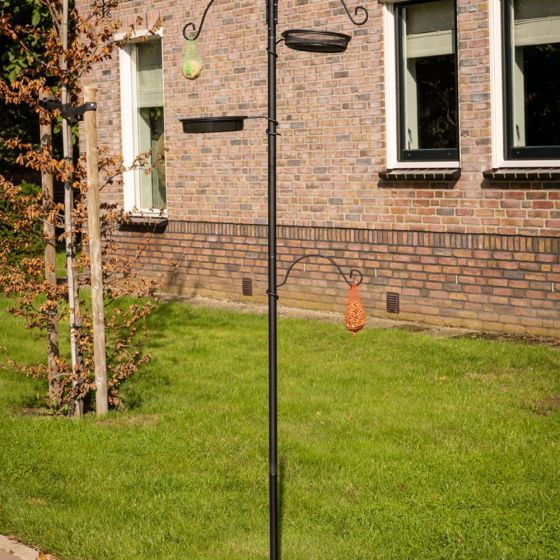 Mangeoire à oiseaux multi-supports