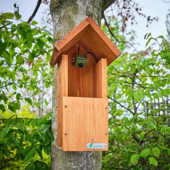 Caméra wifi pour Nichoir à oiseaux (avec cable 10 m inclus)