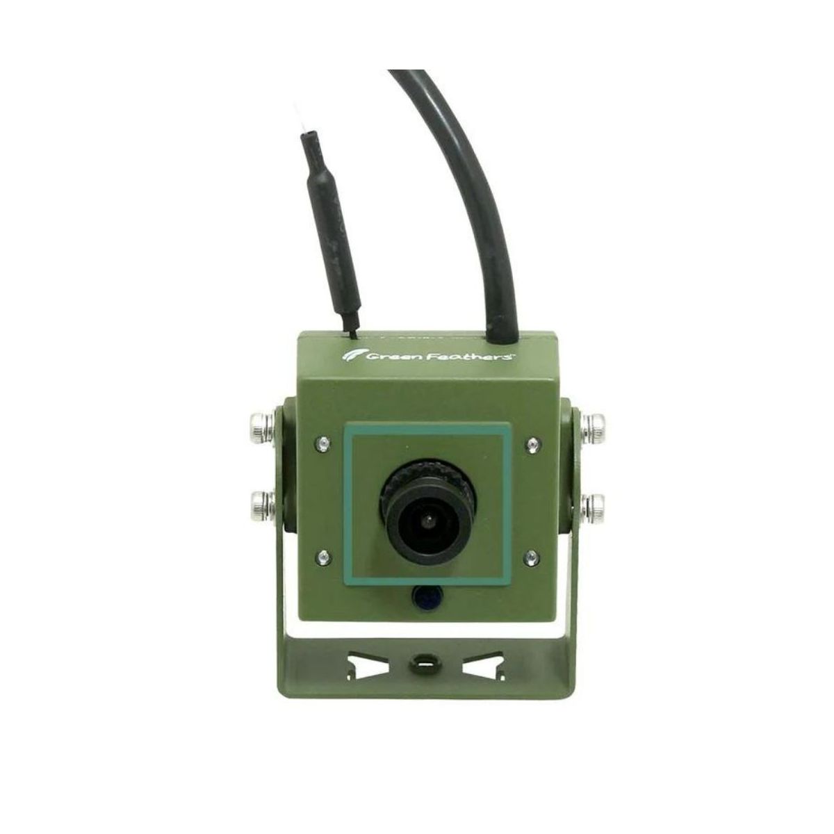 Caméra nichoir: Caméras de mangeoires et nichoirs avec caméras