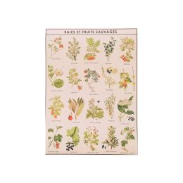 Poster baies et fruits sauvages