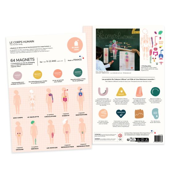 Magnets Le Corps Humain