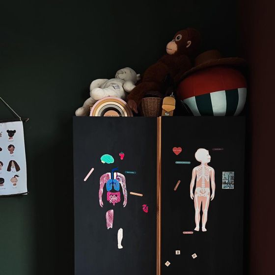 Magnets Le Corps Humain