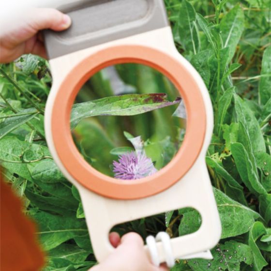 Loupe XXL en bois X 3