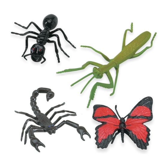 Insectes - Tube safari Ltd