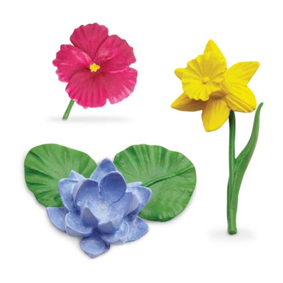 Fleurs - Tube safari Ltd