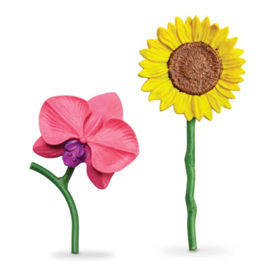 Fleurs - Tube safari Ltd