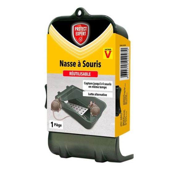 Nasse à souris multicapture