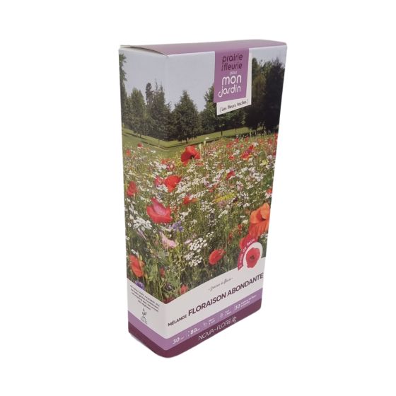 Mélange prairie fleurie : Floraison abondante 30 m2