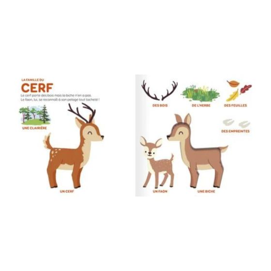 Les animaux de la forêt