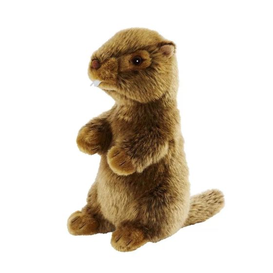 Marmotte25cm Marmotte25cm