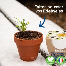 Pot de culture en céramique - Edelweiss - 8 cm