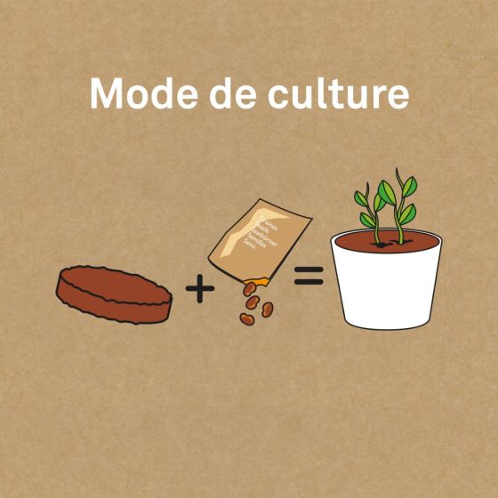 Pot de culture en céramique - Trèfle - 8 cm