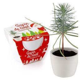 Pot de culture en céramique - Noël - Épicéa - 8 cm