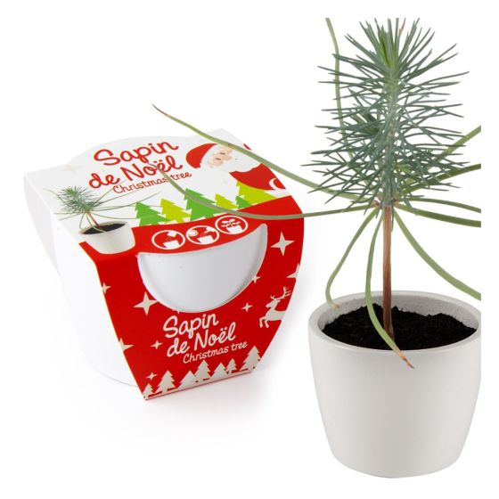 Pot de culture en céramique - Noël - Épicéa - 8 cm