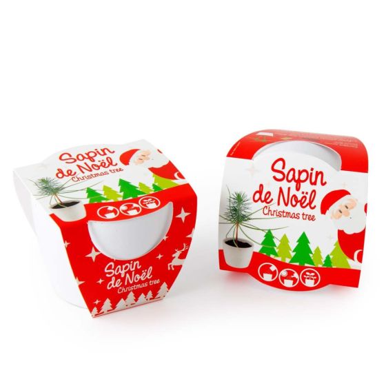 Pot de culture en céramique - Noël - Épicéa - 8 cm