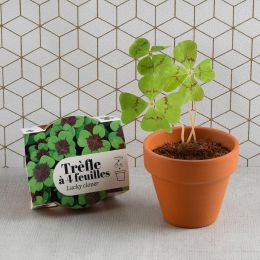 Mini kit de culture - Trèfle 4 feuilles - 6cm