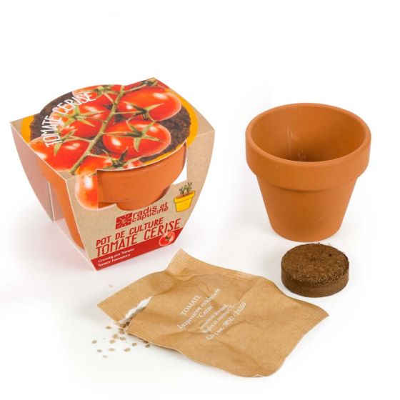 Mini kit de culture -Tomate Cerise bio - 6cm