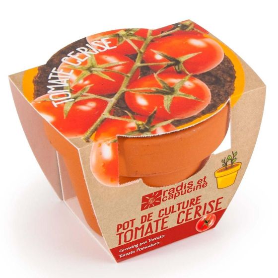 Mini kit de culture -Tomate Cerise bio - 6cm