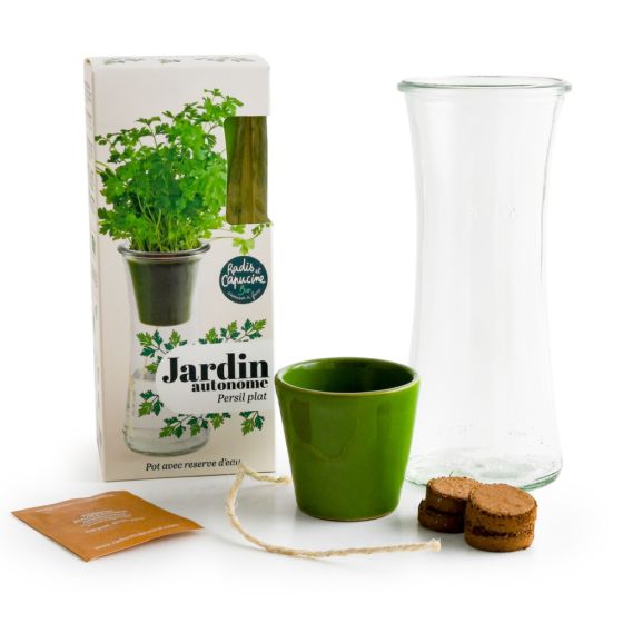 Jardin autonome - Basilic grand vert bio