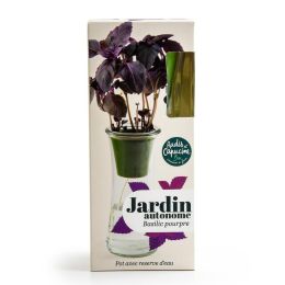 Jardin autonome - Basilic Pourpre bio