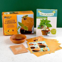 Kit de découverte - Miracle de la germination