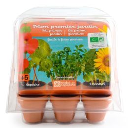 Lot de 6 mini serres : Mon potager