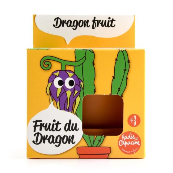 Pot avec coupelle - Fruit du dragon - 8 cm