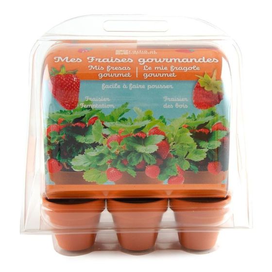 Mini serre 6 pots - Fraises à faire pousser