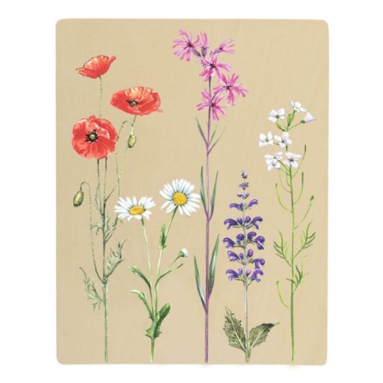 Herbier feuilles et fleurs + 10 feuilles papier impression solaire