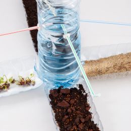 Kit d'activité : Je recycle mes bouteilles d'eau au jardin