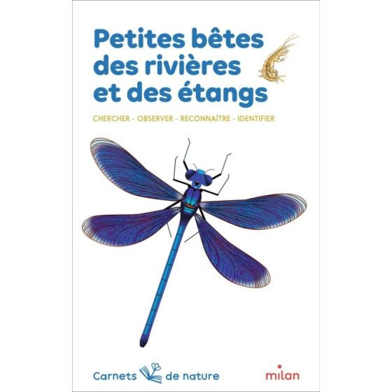 carnet de nature : petites bêtes des rivières et étangs carnet de nature : petites bêtes des rivières et étangs