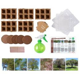 Coffret matériel et 30 sachets de graines : Les arbres de la forêt