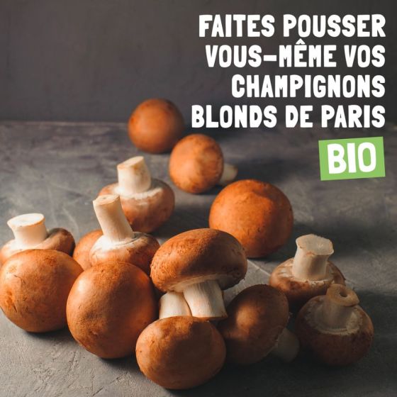 Kit de culture - Champignons de Paris brun - 7,5L