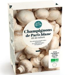 Kit de culture - Champignons de Paris Blanc - 4L