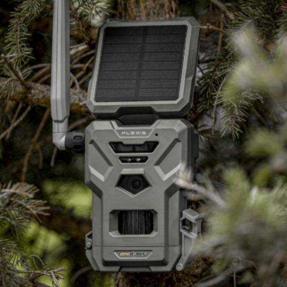 Trail Cam Spypoint Flex S