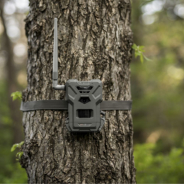 Trail Cam Spypoint Flex M