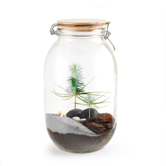 Terrarium à faire soi même - Sapin de Noël et Ours blanc