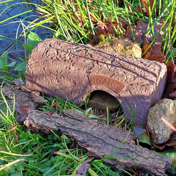 Refuge pour crapauds et grenouilles