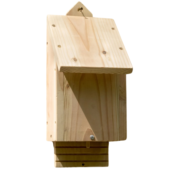 Habitat simple pour Chauve souris
