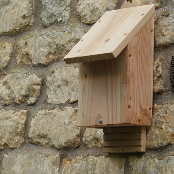Habitat simple pour Chauve souris