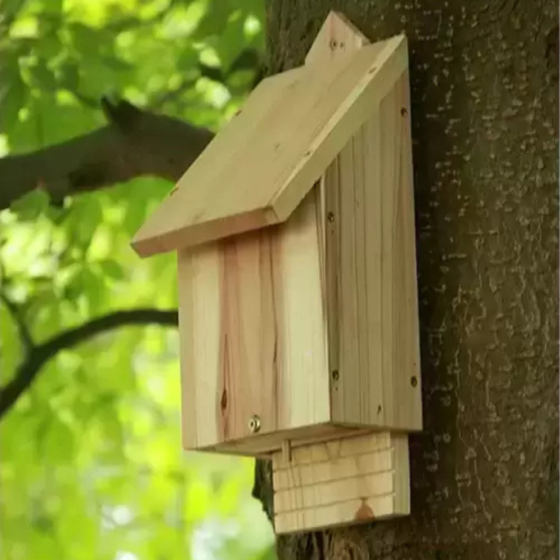 Habitat simple pour Chauve souris