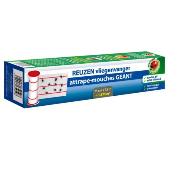 Attrape-mouches géant Attrape-mouches géant