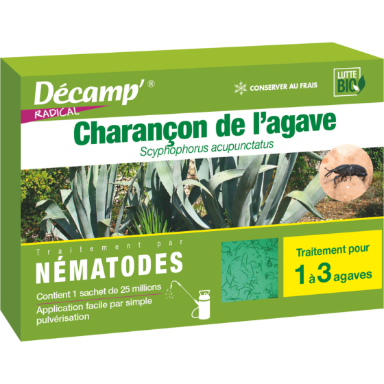 Nématodes anti charançon de l'agave Nématodes anti charançon de l'agave