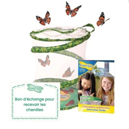 Kit d'élevage de papillons Pavillon - Bon pour chenilles