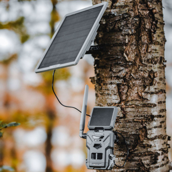 Panneau solaire Spypoint avec batterie lithium