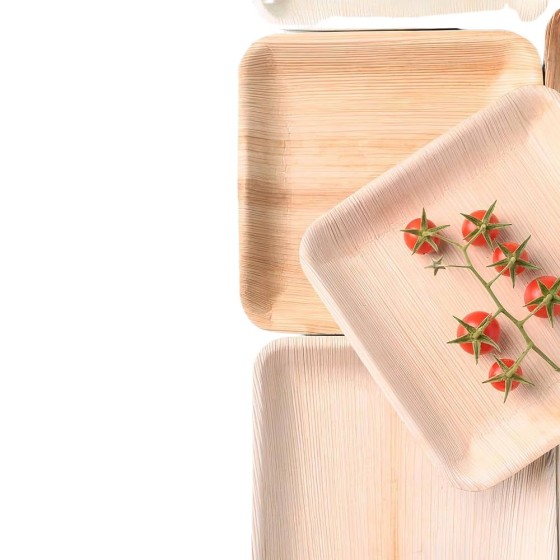 Assiettes jetables en palmier - Lot de 25 - 18 x 18 cm